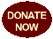 Donate Now Link Button